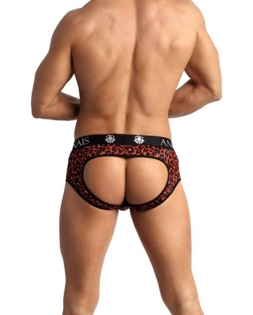 Boxer abierto tribal
