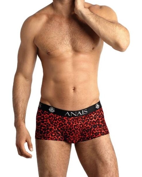Tribal Boxer