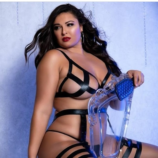 Harness set