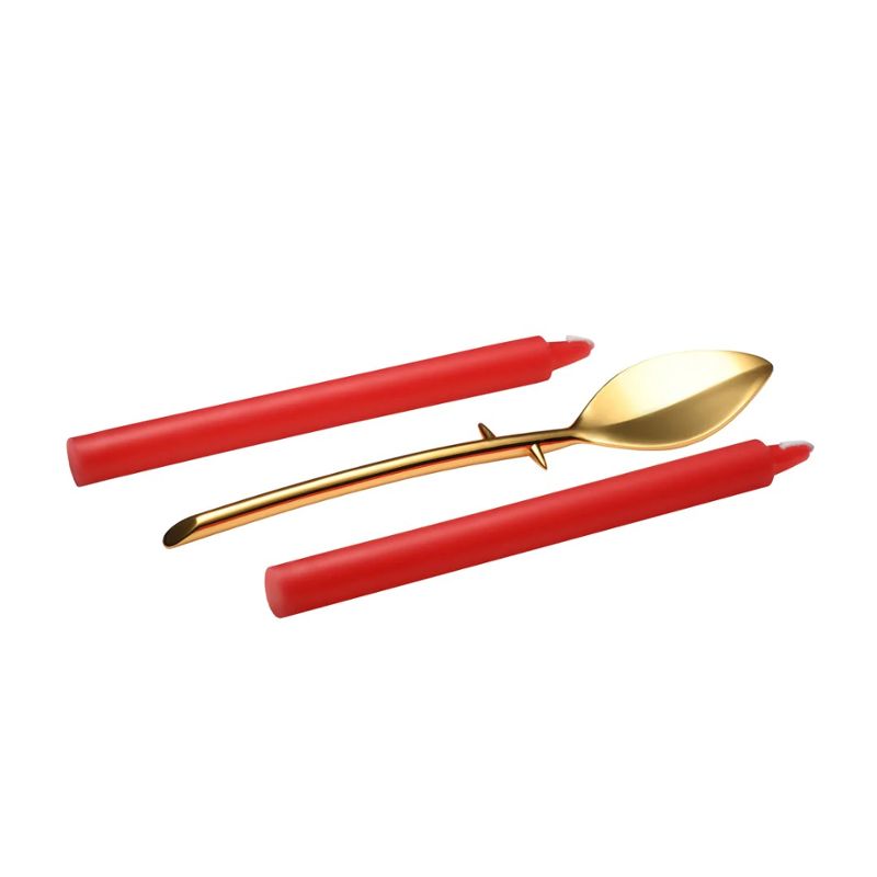 Professionele Wax Play Kit met Spatel voor veilige praktijken